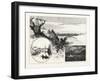 Owen Sound, Canada, Nineteenth Century-null-Framed Giclee Print