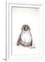 Owen the Owl Birds Nextinctions, 2007 (drawing)-Ralph Steadman-Framed Giclee Print