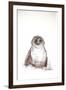 Owen the Owl Birds Nextinctions, 2007 (drawing)-Ralph Steadman-Framed Giclee Print