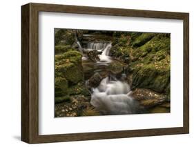 Owengarriff River, County Kerry, Munster, Republic of Ireland, Europe-Carsten Krieger-Framed Photographic Print