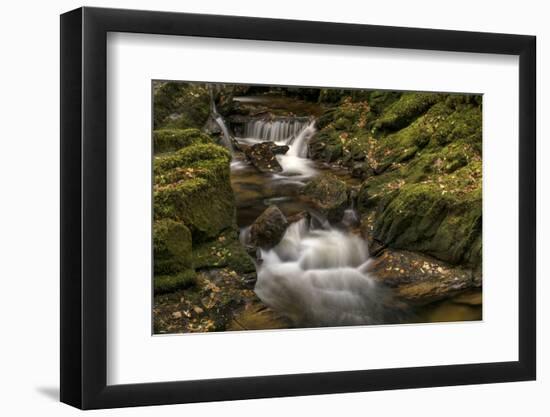 Owengarriff River, County Kerry, Munster, Republic of Ireland, Europe-Carsten Krieger-Framed Photographic Print