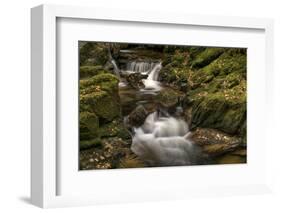 Owengarriff River, County Kerry, Munster, Republic of Ireland, Europe-Carsten Krieger-Framed Photographic Print