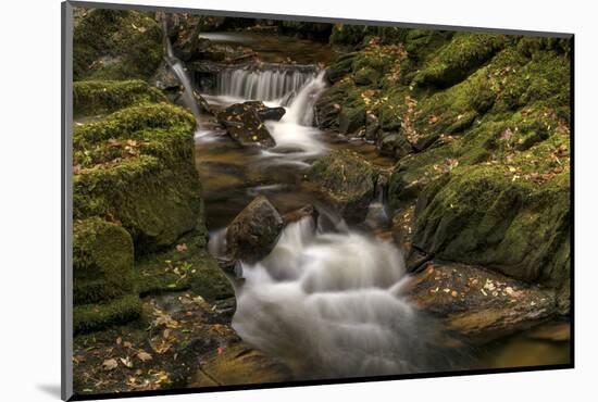 Owengarriff River, County Kerry, Munster, Republic of Ireland, Europe-Carsten Krieger-Mounted Photographic Print