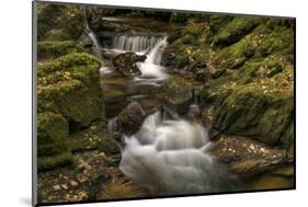 Owengarriff River, County Kerry, Munster, Republic of Ireland, Europe-Carsten Krieger-Mounted Photographic Print