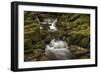 Owengarriff River, County Kerry, Munster, Republic of Ireland, Europe-Carsten Krieger-Framed Photographic Print