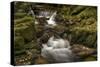 Owengarriff River, County Kerry, Munster, Republic of Ireland, Europe-Carsten Krieger-Stretched Canvas