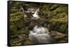 Owengarriff River, County Kerry, Munster, Republic of Ireland, Europe-Carsten Krieger-Framed Stretched Canvas