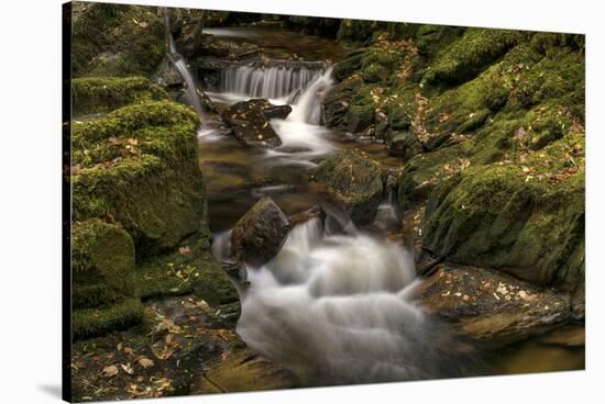 Owengarriff River, County Kerry, Munster, Republic of Ireland, Europe-Carsten Krieger-Stretched Canvas