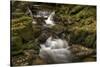 Owengarriff River, County Kerry, Munster, Republic of Ireland, Europe-Carsten Krieger-Stretched Canvas