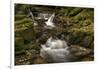 Owengarriff River, County Kerry, Munster, Republic of Ireland, Europe-Carsten Krieger-Framed Photographic Print