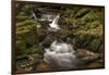 Owengarriff River, County Kerry, Munster, Republic of Ireland, Europe-Carsten Krieger-Framed Photographic Print
