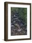 Owengarriff River, Killarney National Park, County Kerry, Munster, Republic of Ireland, Europe-Carsten Krieger-Framed Photographic Print