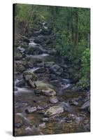 Owengarriff River, Killarney National Park, County Kerry, Munster, Republic of Ireland, Europe-Carsten Krieger-Stretched Canvas