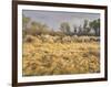 Owens River Valley, Sierra Nevada, California, Usa-Rainer Mirau-Framed Photographic Print