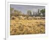 Owens River Valley, Sierra Nevada, California, Usa-Rainer Mirau-Framed Photographic Print