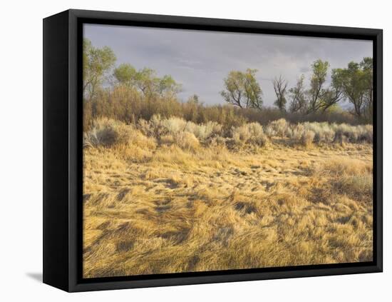 Owens River Valley, Sierra Nevada, California, Usa-Rainer Mirau-Framed Stretched Canvas