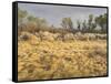 Owens River Valley, Sierra Nevada, California, Usa-Rainer Mirau-Framed Stretched Canvas