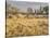 Owens River Valley, Sierra Nevada, California, Usa-Rainer Mirau-Stretched Canvas