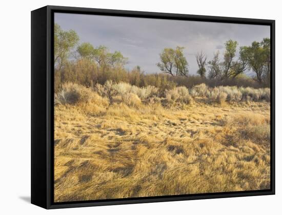 Owens River Valley, Sierra Nevada, California, Usa-Rainer Mirau-Framed Stretched Canvas