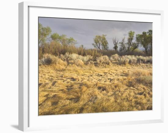 Owens River Valley, Sierra Nevada, California, Usa-Rainer Mirau-Framed Photographic Print