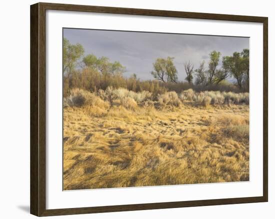 Owens River Valley, Sierra Nevada, California, Usa-Rainer Mirau-Framed Photographic Print