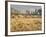 Owens River Valley, Sierra Nevada, California, Usa-Rainer Mirau-Framed Photographic Print