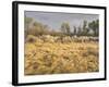 Owens River Valley, Sierra Nevada, California, Usa-Rainer Mirau-Framed Photographic Print