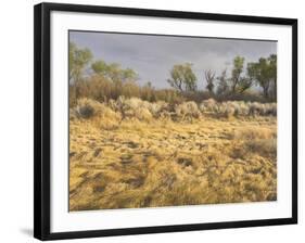 Owens River Valley, Sierra Nevada, California, Usa-Rainer Mirau-Framed Photographic Print