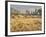 Owens River Valley, Sierra Nevada, California, Usa-Rainer Mirau-Framed Photographic Print