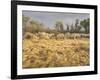 Owens River Valley, Sierra Nevada, California, Usa-Rainer Mirau-Framed Photographic Print