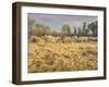 Owens River Valley, Sierra Nevada, California, Usa-Rainer Mirau-Framed Photographic Print