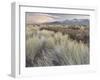 Owens River Valley, Sierra Nevada, California, Usa-Rainer Mirau-Framed Photographic Print