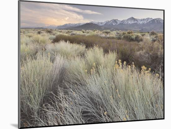 Owens River Valley, Sierra Nevada, California, Usa-Rainer Mirau-Mounted Photographic Print