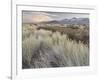 Owens River Valley, Sierra Nevada, California, Usa-Rainer Mirau-Framed Photographic Print