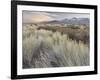 Owens River Valley, Sierra Nevada, California, Usa-Rainer Mirau-Framed Photographic Print