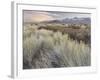 Owens River Valley, Sierra Nevada, California, Usa-Rainer Mirau-Framed Photographic Print