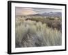 Owens River Valley, Sierra Nevada, California, Usa-Rainer Mirau-Framed Photographic Print