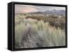 Owens River Valley, Sierra Nevada, California, Usa-Rainer Mirau-Framed Stretched Canvas