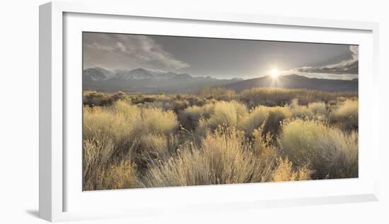 Owens River Valley, Sierra Nevada, California, Usa-Rainer Mirau-Framed Photographic Print