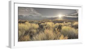 Owens River Valley, Sierra Nevada, California, Usa-Rainer Mirau-Framed Photographic Print