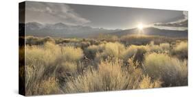 Owens River Valley, Sierra Nevada, California, Usa-Rainer Mirau-Stretched Canvas