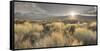 Owens River Valley, Sierra Nevada, California, Usa-Rainer Mirau-Framed Stretched Canvas