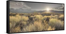 Owens River Valley, Sierra Nevada, California, Usa-Rainer Mirau-Framed Stretched Canvas