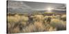 Owens River Valley, Sierra Nevada, California, Usa-Rainer Mirau-Stretched Canvas