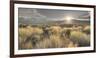 Owens River Valley, Sierra Nevada, California, Usa-Rainer Mirau-Framed Photographic Print