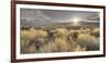 Owens River Valley, Sierra Nevada, California, Usa-Rainer Mirau-Framed Photographic Print