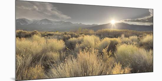 Owens River Valley, Sierra Nevada, California, Usa-Rainer Mirau-Mounted Photographic Print