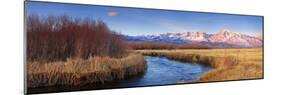 Owens River-Wayne Bradbury-Mounted Photographic Print