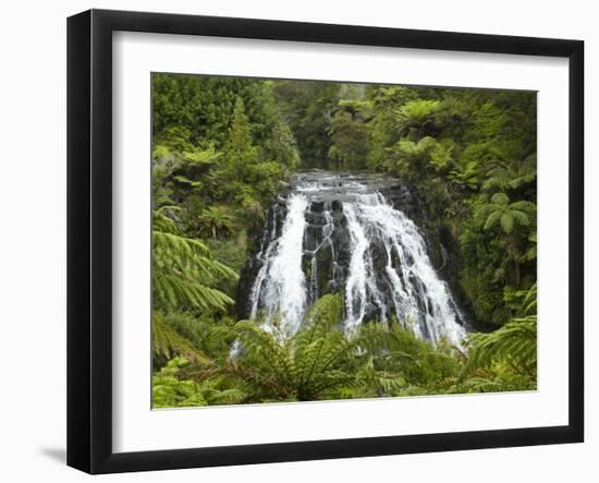 Owharoa Falls, Karangahake Gorge, Waikato, North Island, New Zealand-David Wall-Framed Premium Photographic Print