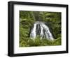 Owharoa Falls, Karangahake Gorge, Waikato, North Island, New Zealand-David Wall-Framed Photographic Print